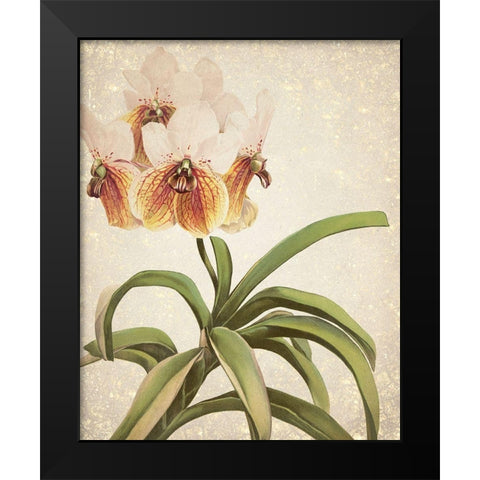 Orchids 3 Black Modern Wood Framed Art Print by Kimberly, Allen