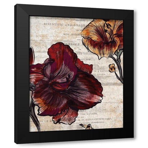 Brilliant Blooms 1 Black Modern Wood Framed Art Print with Double Matting by Kimberly, Allen