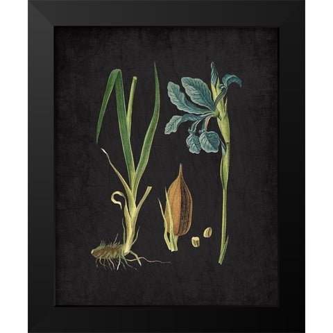 Blue Iris 1 Black Modern Wood Framed Art Print by Kimberly, Allen
