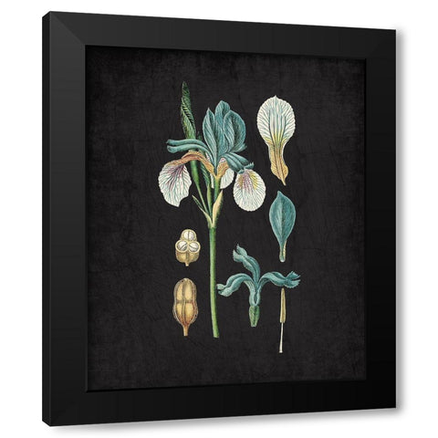 Blue Iris 2 Black Modern Wood Framed Art Print with Double Matting by Kimberly, Allen