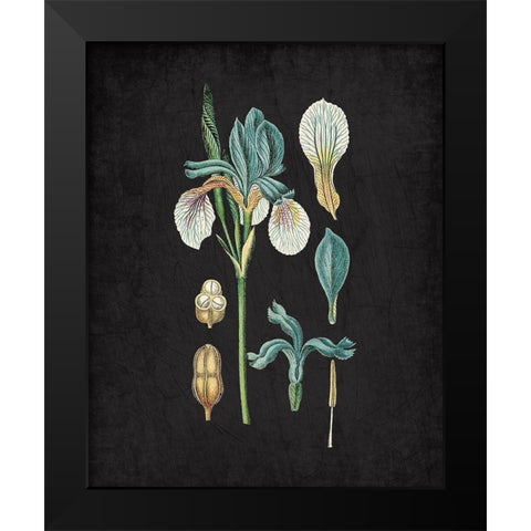 Blue Iris 2 Black Modern Wood Framed Art Print by Kimberly, Allen