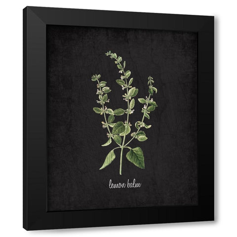 Lemon Balm Black Modern Wood Framed Art Print with Double Matting by Kimberly, Allen
