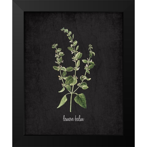 Lemon Balm Black Modern Wood Framed Art Print by Kimberly, Allen
