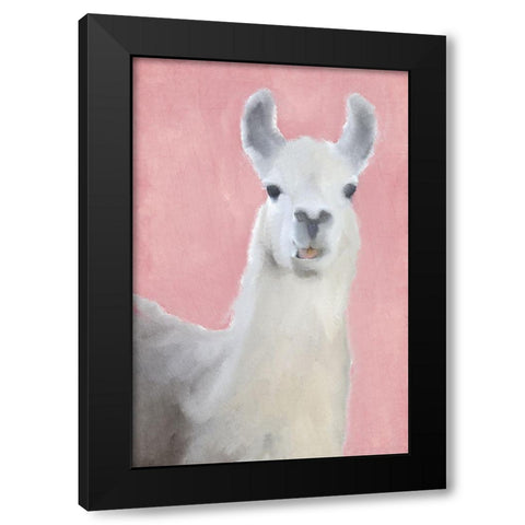 Llama on Pink Black Modern Wood Framed Art Print with Double Matting by Kimberly, Allen