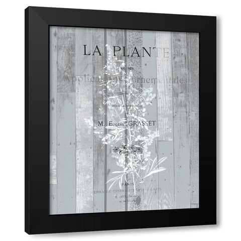 La Plante 1 Black Modern Wood Framed Art Print with Double Matting by Kimberly, Allen