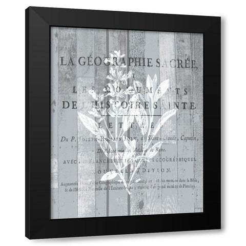 La Plante 2 Black Modern Wood Framed Art Print with Double Matting by Kimberly, Allen