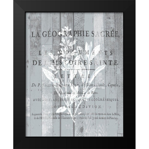 La Plante 2 Black Modern Wood Framed Art Print by Kimberly, Allen