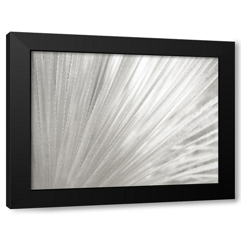 Silver Wash Succulent Black Modern Wood Framed Art Print by Kimberly, Allen