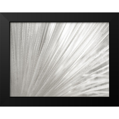 Silver Wash Succulent Black Modern Wood Framed Art Print by Kimberly, Allen