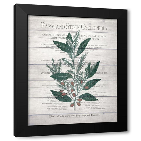 Botanical A v2 Black Modern Wood Framed Art Print with Double Matting by Kimberly, Allen