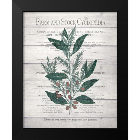Botanical A v2 Black Modern Wood Framed Art Print by Kimberly, Allen