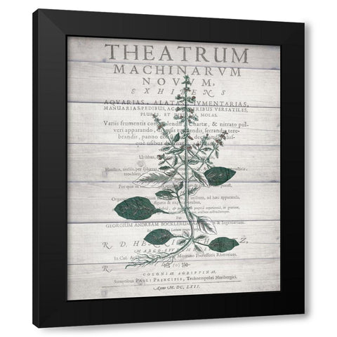 Botanical B v2 Black Modern Wood Framed Art Print by Kimberly, Allen