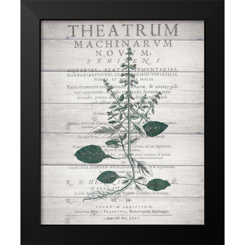 Botanical B v2 Black Modern Wood Framed Art Print by Kimberly, Allen