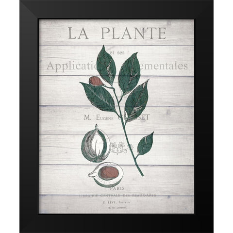 Botanical C v2 Black Modern Wood Framed Art Print by Kimberly, Allen
