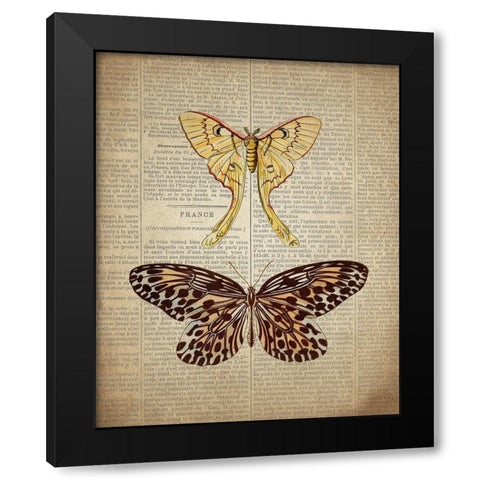 Newspaper Butterfly 1 Black Modern Wood Framed Art Print with Double Matting by Allen, Kimberly