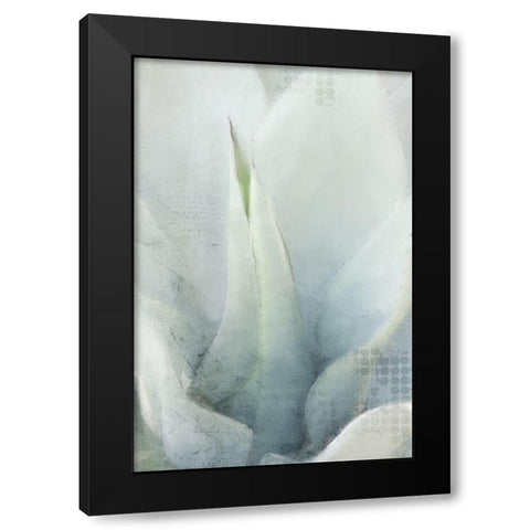 Agave 1 Black Modern Wood Framed Art Print by Kimberly, Allen