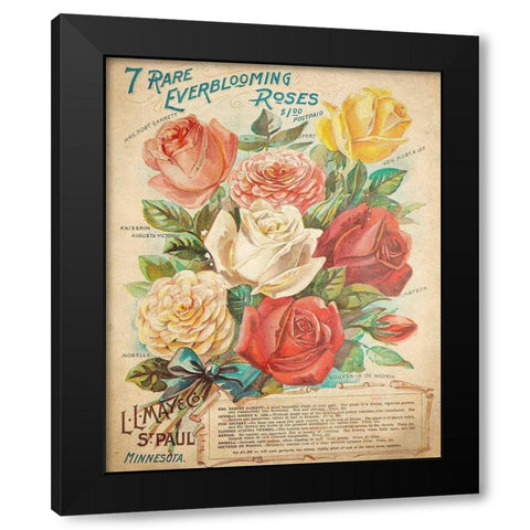 Everblooming Roses Black Modern Wood Framed Art Print by Kimberly, Allen