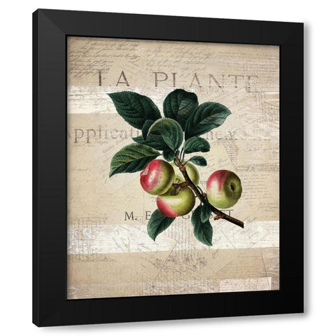 Fruit 1 Black Modern Wood Framed Art Print with Double Matting by Kimberly, Allen