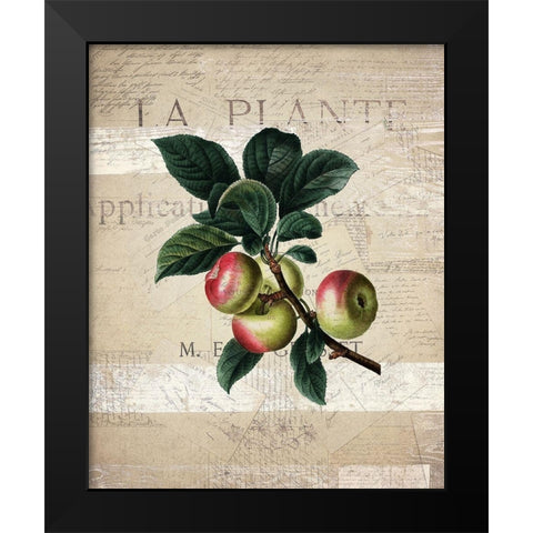 Fruit 1 Black Modern Wood Framed Art Print by Kimberly, Allen