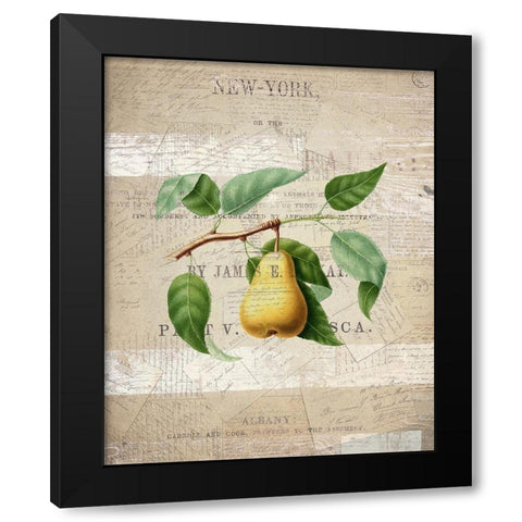 Fruit 2 Black Modern Wood Framed Art Print by Kimberly, Allen