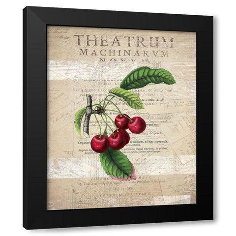 Fruit 3 Black Modern Wood Framed Art Print by Kimberly, Allen