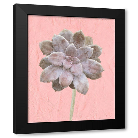 On Pink C Black Modern Wood Framed Art Print with Double Matting by Kimberly, Allen