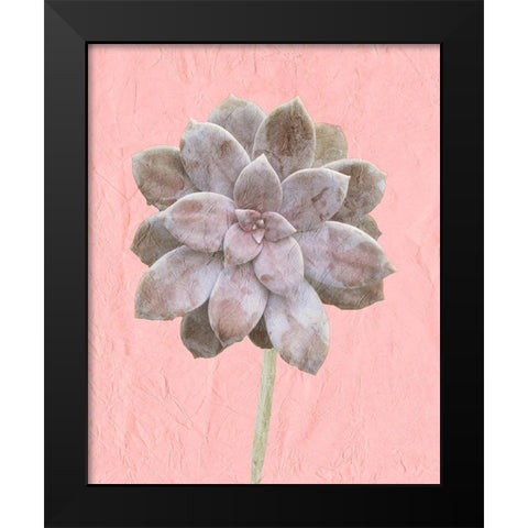On Pink C Black Modern Wood Framed Art Print by Kimberly, Allen