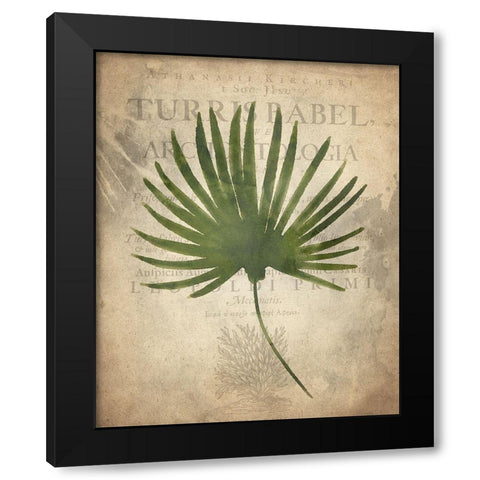 Palms C Black Modern Wood Framed Art Print with Double Matting by Kimberly, Allen