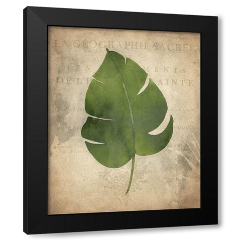 Palms D Black Modern Wood Framed Art Print by Kimberly, Allen