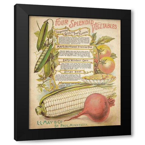 Splendid Vegetables Black Modern Wood Framed Art Print by Kimberly, Allen