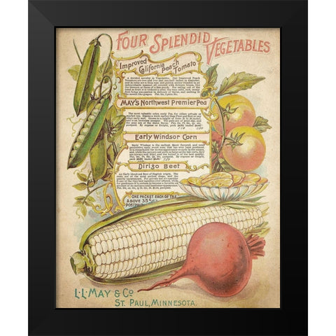 Splendid Vegetables Black Modern Wood Framed Art Print by Kimberly, Allen