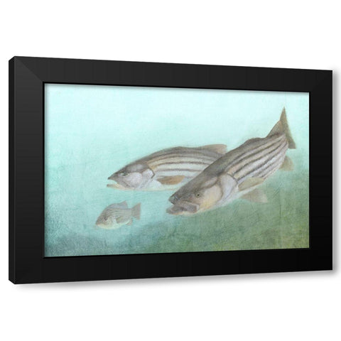 Fish Family Black Modern Wood Framed Art Print with Double Matting by Kimberly, Allen