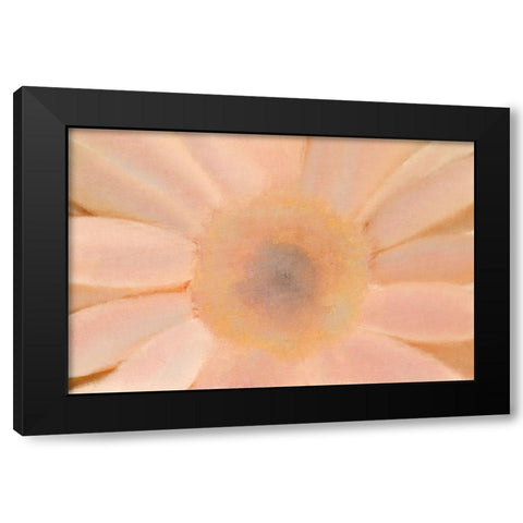 Soft Glow Black Modern Wood Framed Art Print with Double Matting by Kimberly, Allen