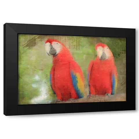 Best Friends  Black Modern Wood Framed Art Print with Double Matting by Kimberly, Allen