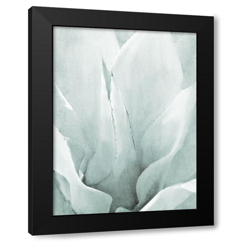 Agave II Black Modern Wood Framed Art Print by Kimberly, Allen