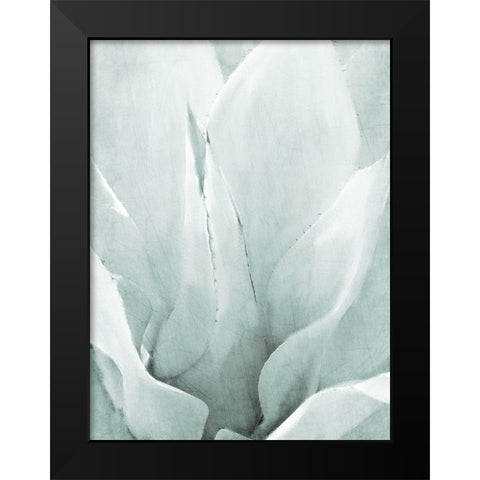 Agave II Black Modern Wood Framed Art Print by Kimberly, Allen