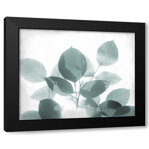 Antiqued Leaves 2 Black Modern Wood Framed Art Print by Kimberly, Allen