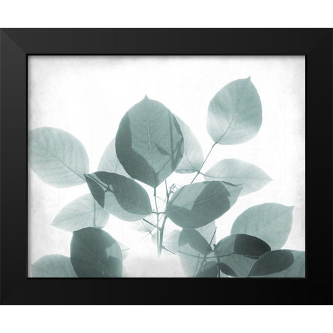 Antiqued Leaves 2 Black Modern Wood Framed Art Print by Kimberly, Allen