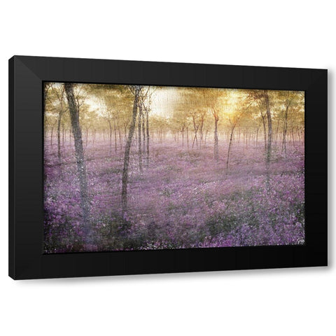 The Grove Black Modern Wood Framed Art Print by Kimberly, Allen