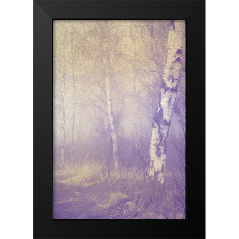 Mystic Forest Black Modern Wood Framed Art Print by Kimberly, Allen