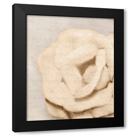 Natural 2 Black Modern Wood Framed Art Print by Kimberly, Allen