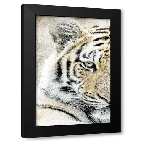 Concentration A Black Modern Wood Framed Art Print with Double Matting by Kimberly, Allen