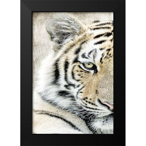 Concentration A Black Modern Wood Framed Art Print by Kimberly, Allen