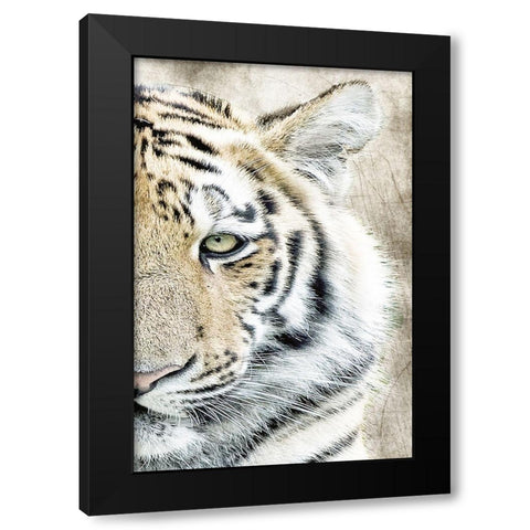 Concentration B Black Modern Wood Framed Art Print with Double Matting by Kimberly, Allen
