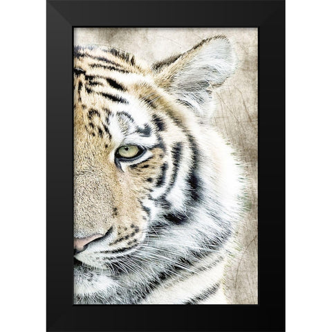 Concentration B Black Modern Wood Framed Art Print by Kimberly, Allen
