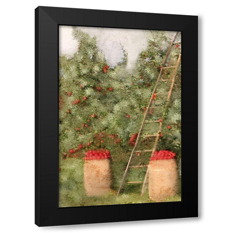 Country Fall 3 Black Modern Wood Framed Art Print by Kimberly, Allen