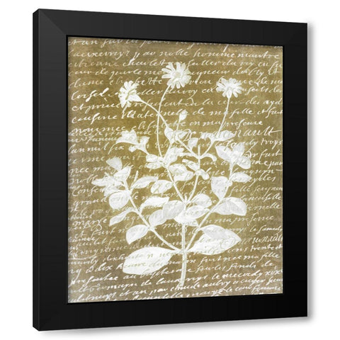 Notes on Floral 1 Black Modern Wood Framed Art Print with Double Matting by Kimberly, Allen