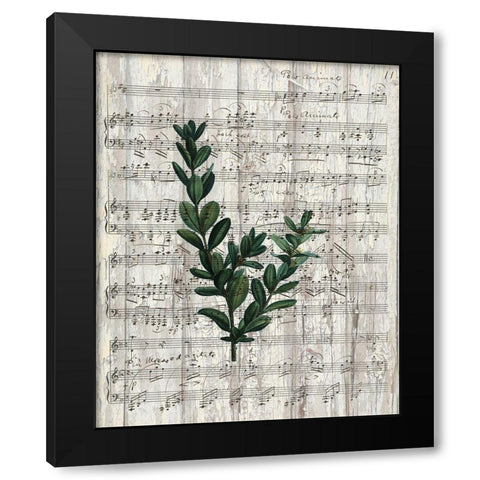 Musical Botanical 1 Black Modern Wood Framed Art Print by Kimberly, Allen