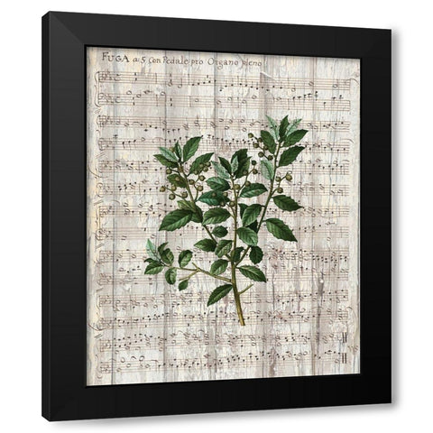 Musical Botanical 2 Black Modern Wood Framed Art Print with Double Matting by Kimberly, Allen
