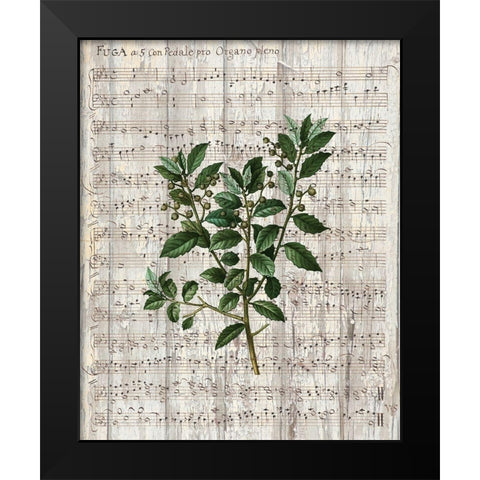Musical Botanical 2 Black Modern Wood Framed Art Print by Kimberly, Allen